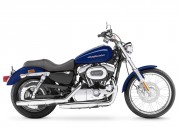 Harley-Davidson XL1200 C Sportster